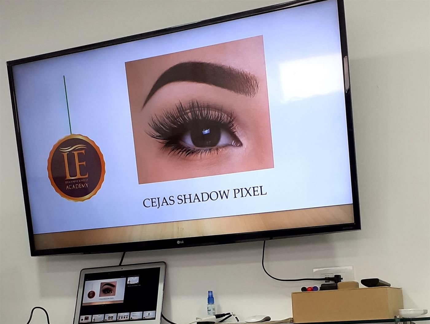 Pantalla del aula con la lección cejas shadow pixel